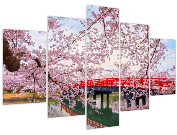 Obraz - Hirosaki, Japonsko (150x105 cm)
