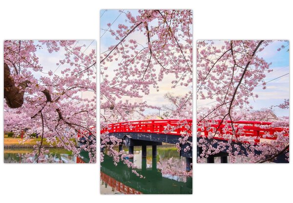 Obraz - Hirosaki, Japonsko (90x60 cm)