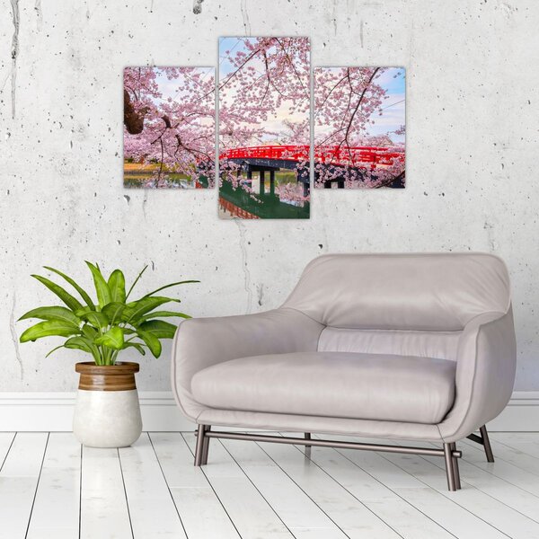 Obraz - Hirosaki, Japonsko (90x60 cm)
