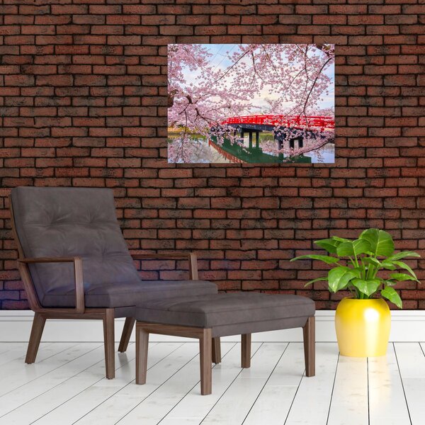 Obraz - Hirosaki, Japonsko (70x50 cm)