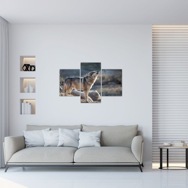 Obraz - Vyjúci vlk (90x60 cm)