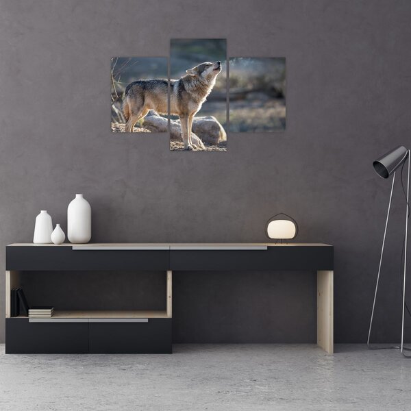 Obraz - Vyjúci vlk (90x60 cm)