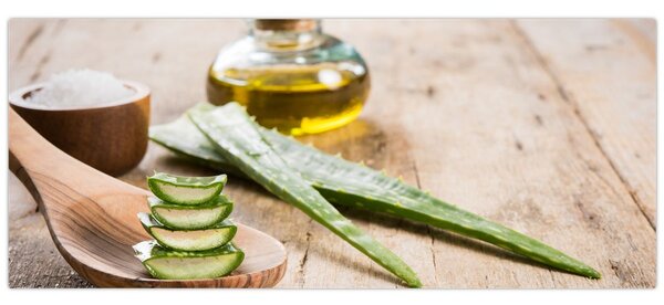Obraz - Aloe vera (120x50 cm)