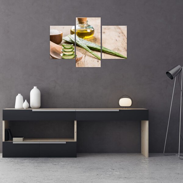 Obraz - Aloe vera (90x60 cm)