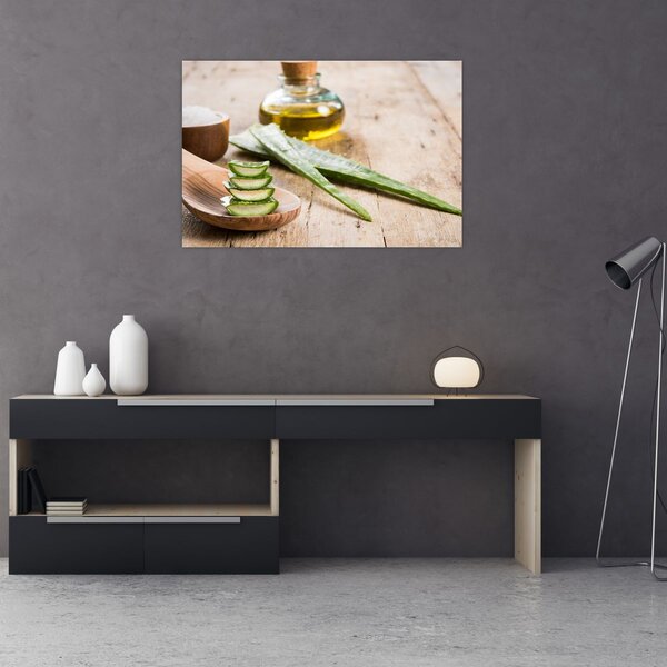 Obraz - Aloe vera (90x60 cm)