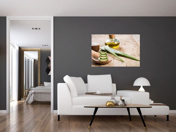 Obraz - Aloe vera (90x60 cm)