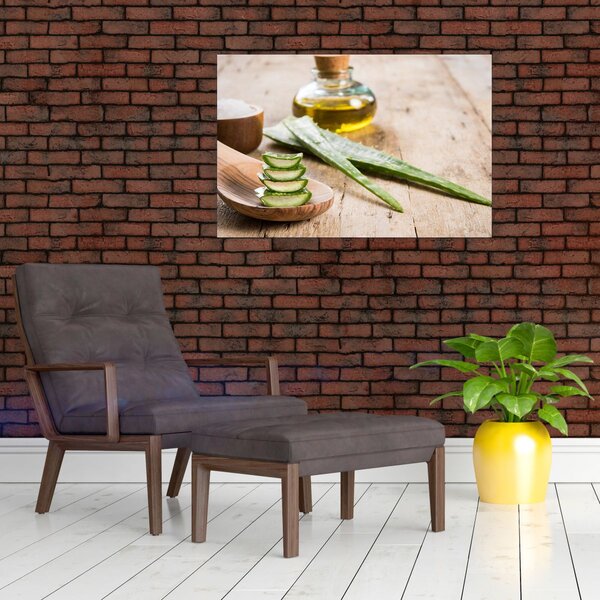 Obraz - Aloe vera (90x60 cm)