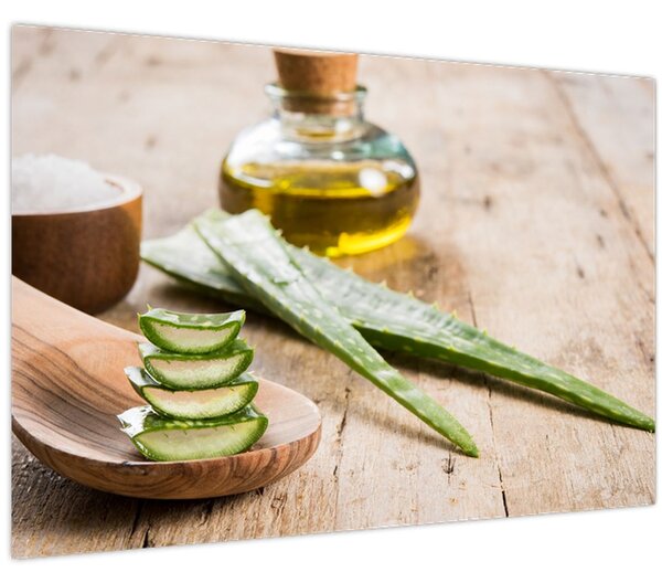 Obraz - Aloe vera (90x60 cm)