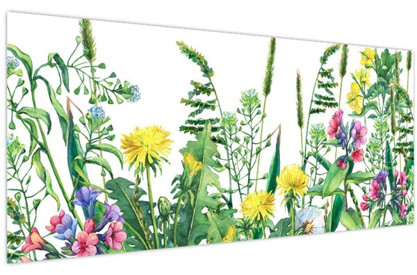 Obraz - Maľované lúčne kvety (120x50 cm)