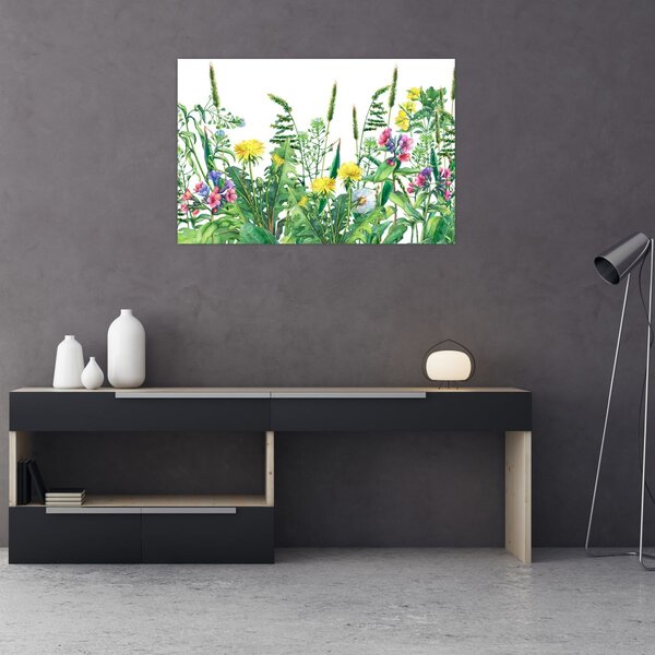 Obraz - Maľované lúčne kvety (90x60 cm)