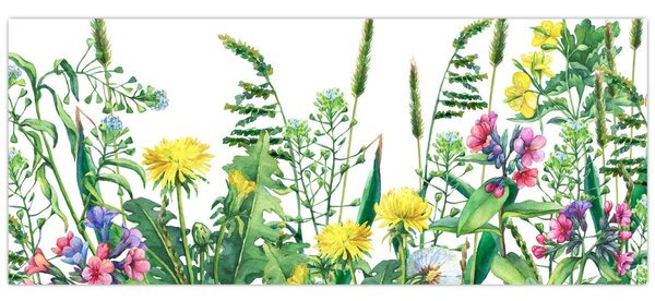 Obraz - Maľované lúčne kvety (120x50 cm)