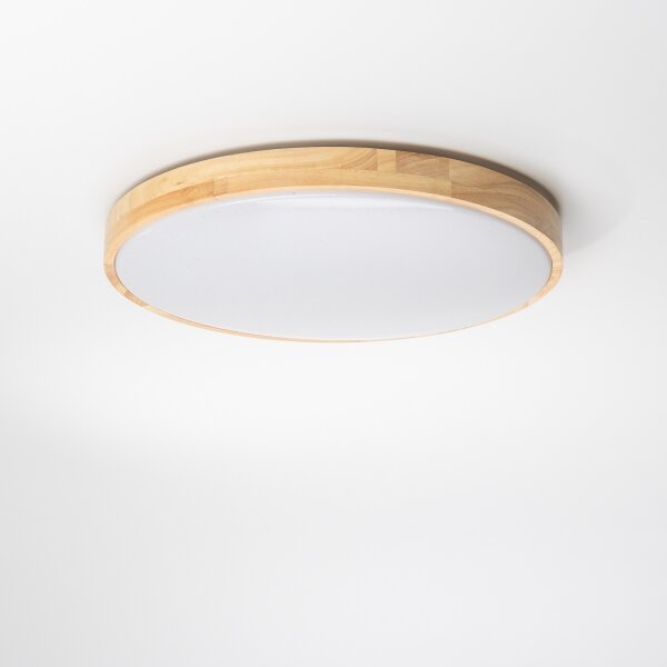 Brilagi - stmievateľné LED stropné svietidlo PINE LED/24W/230V + diaľkové ovládanie