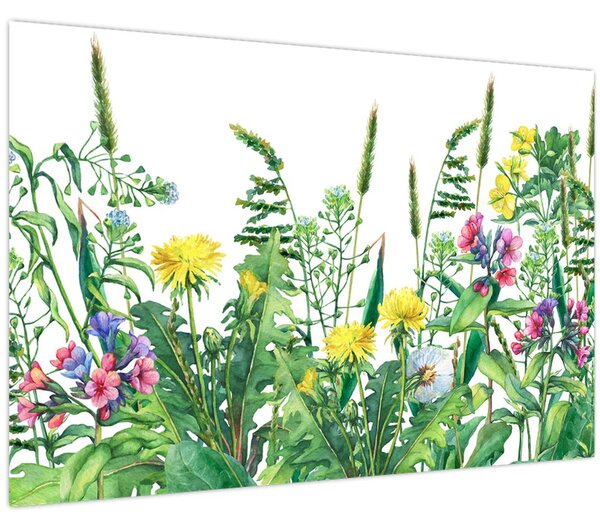 Obraz - Maľované lúčne kvety (90x60 cm)
