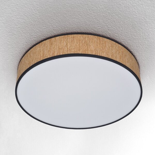Brilagi - LED Stmievateľné stropné svietidlo ADELA LED/48W/230V 3000-6500K + DO
