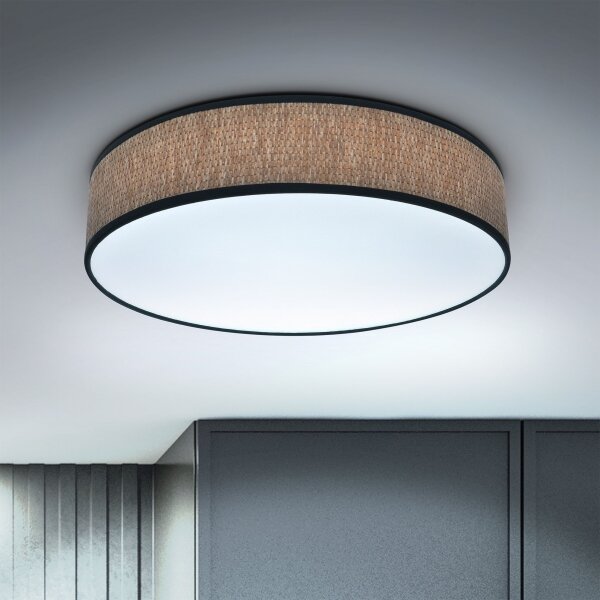Brilagi - LED Stmievateľné stropné svietidlo ADELA LED/48W/230V 3000-6500K + DO