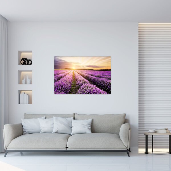 Obraz - Východ slnka v levanduľovom poli (90x60 cm)