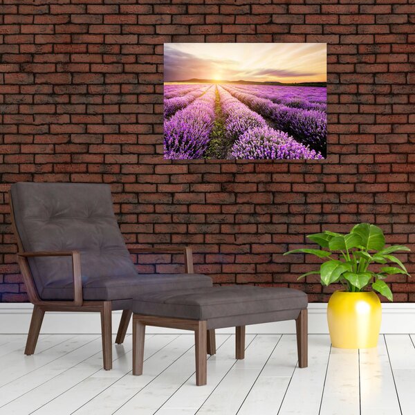 Obraz - Východ slnka v levanduľovom poli (70x50 cm)