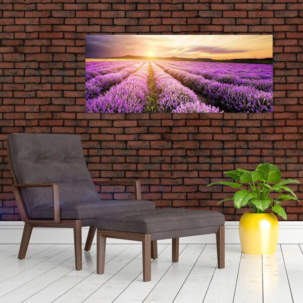 Obraz - Východ slnka v levanduľovom poli (120x50 cm)