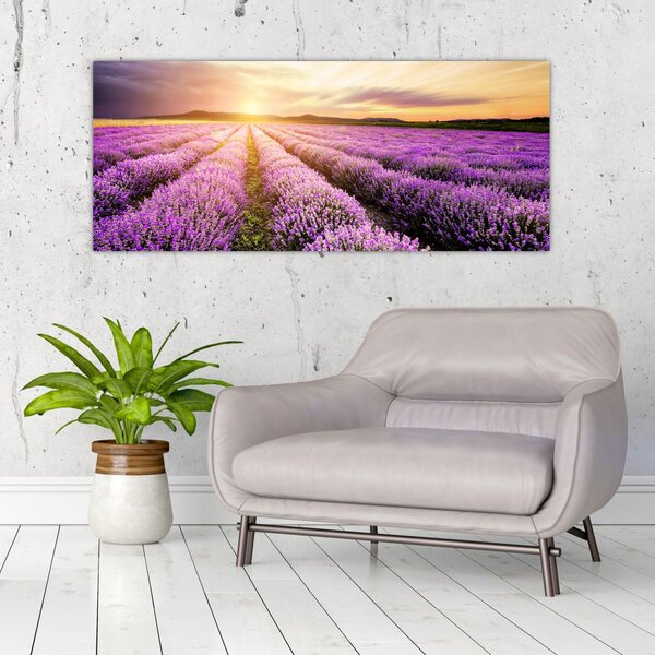 Obraz - Východ slnka v levanduľovom poli (120x50 cm)