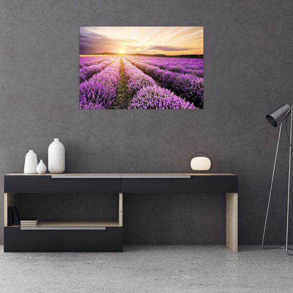 Obraz - Východ slnka v levanduľovom poli (90x60 cm)