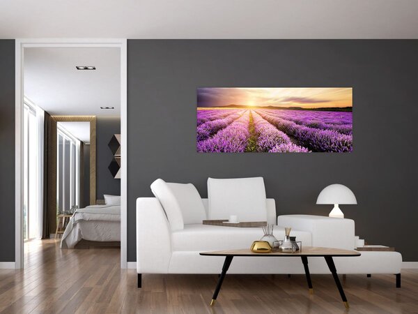 Obraz - Východ slnka v levanduľovom poli (120x50 cm)