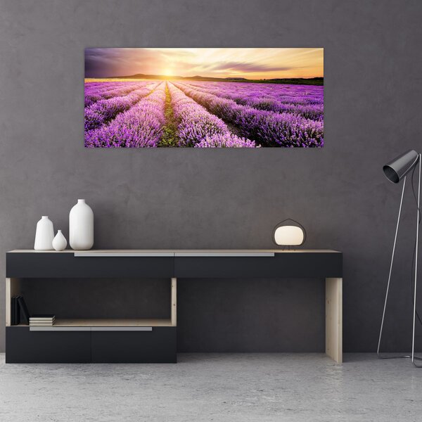 Obraz - Východ slnka v levanduľovom poli (120x50 cm)