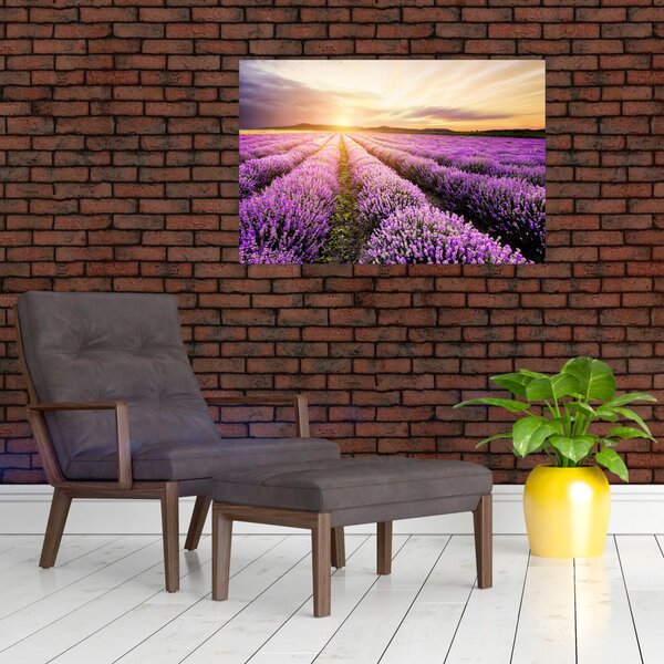 Obraz - Východ slnka v levanduľovom poli (90x60 cm)