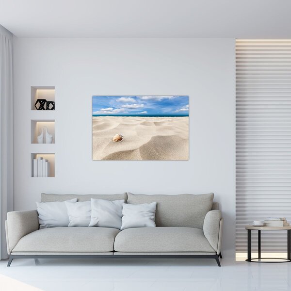 Obraz - Mušle na pláži (90x60 cm)