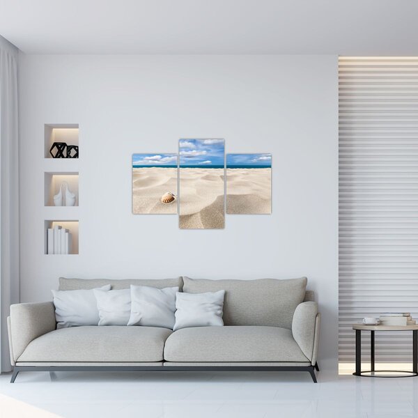 Obraz - Mušle na pláži (90x60 cm)