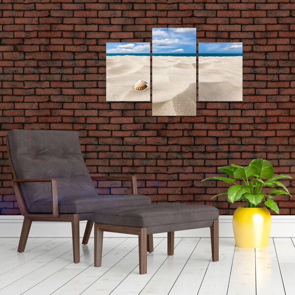 Obraz - Mušle na pláži (90x60 cm)