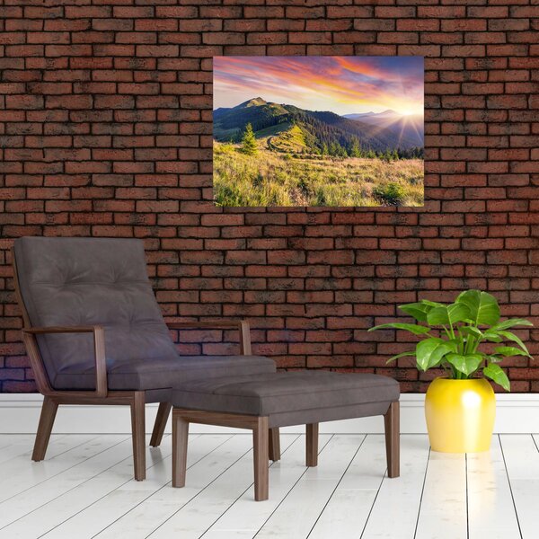 Obraz - Lesná krajina (70x50 cm)