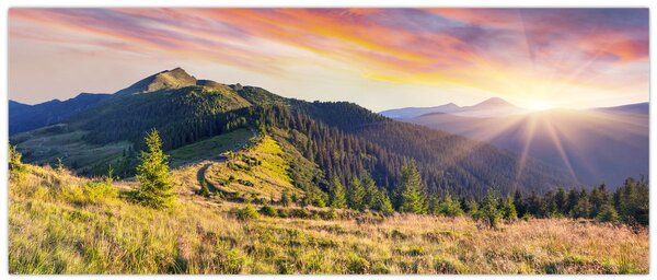 Obraz - Lesná krajina (120x50 cm)
