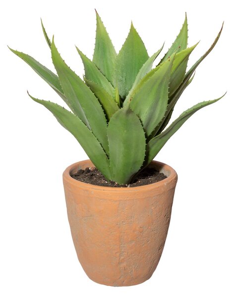 Gasper Umelý kvet Agáve, 40 cm