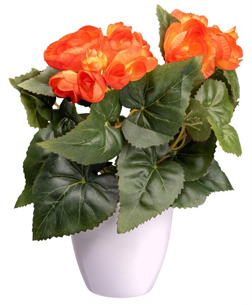 Gasper Umelý kvet Begonia, oranžová