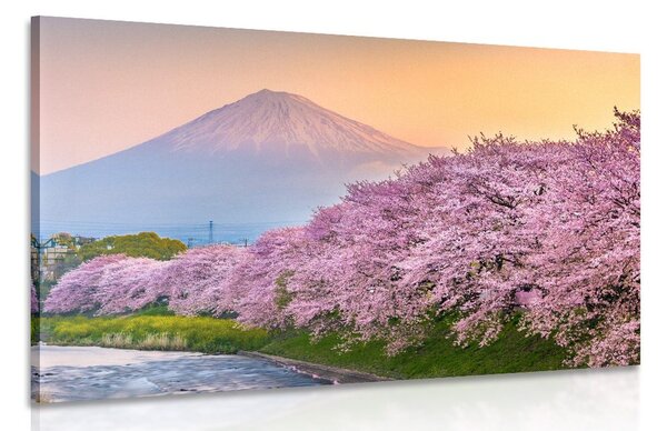 Obraz japonská sopka Fuji