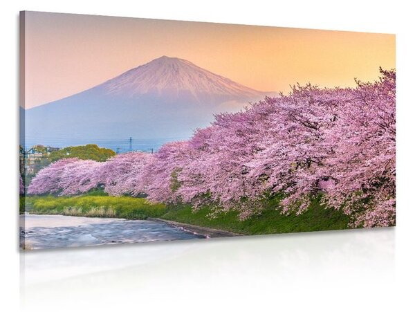 Obraz japonská sopka Fuji