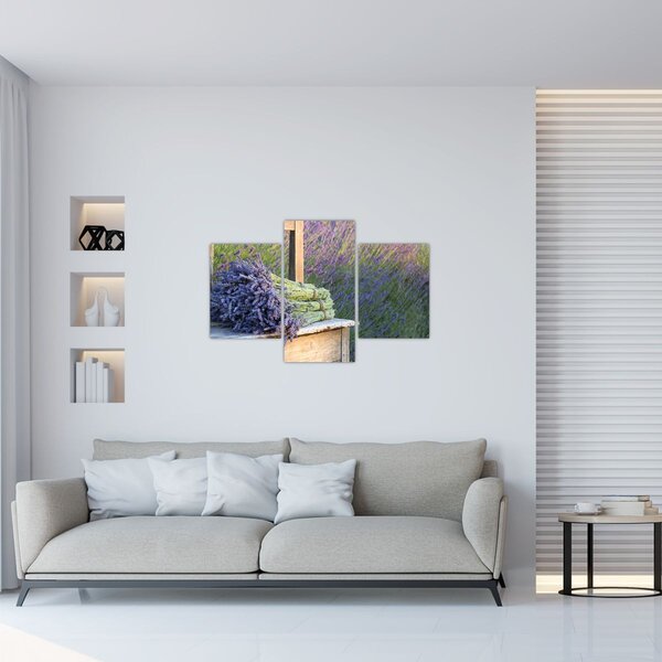Obraz - Levanduľové zväzky (90x60 cm)