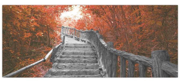 Obraz - Schody v prírode, oranžová (120x50 cm)