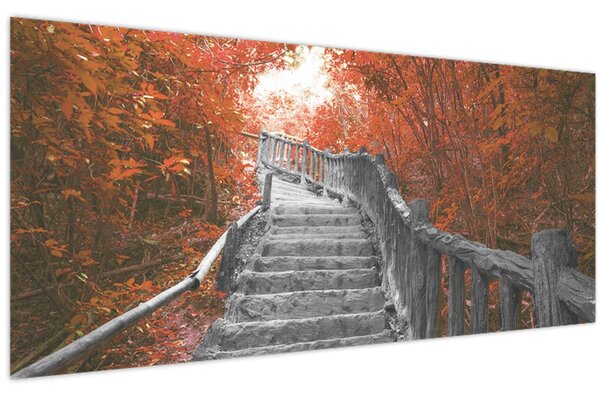 Obraz - Schody v prírode, oranžová (120x50 cm)