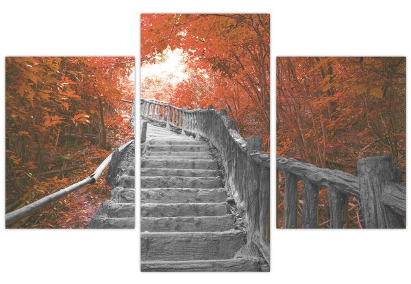 Obraz - Schody v prírode, oranžová (90x60 cm)