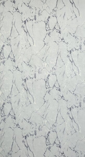 ZATEMŇOVACÍ ZÁVES NA KRÚŽKOCH WERA 140X250 CM STRIEBORNÁ