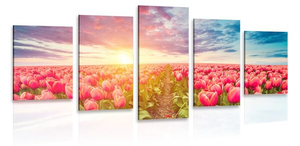 5-dielny obraz východ slnka nad lúkou s tulipánmi