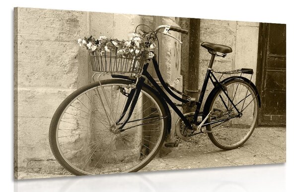 Obraz rustikálny bicykel v sépiovom prevedení