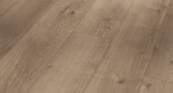PARADOR Modular ONE Dub Pure perlovo sivý štruktúra dreva 1730768 - 2.49 m2