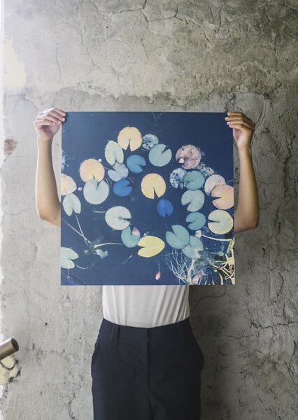 Plagát Water lilies 50x50 cm