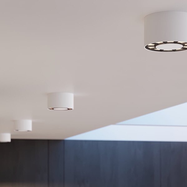 Stropné LED svietidlo Dio, 1x LED 10w, 4000k, w