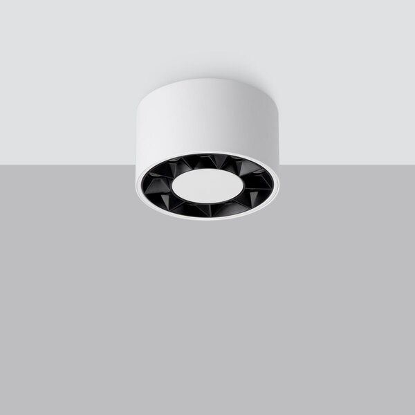 Stropné LED svietidlo Dio, 1x LED 10w, 4000k, w