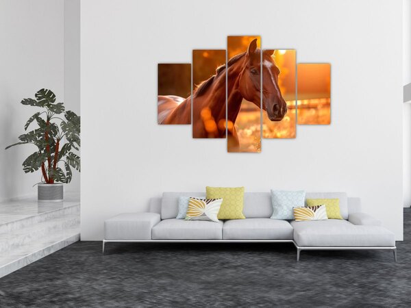 Obraz - Kôň v západe slnka (150x105 cm)