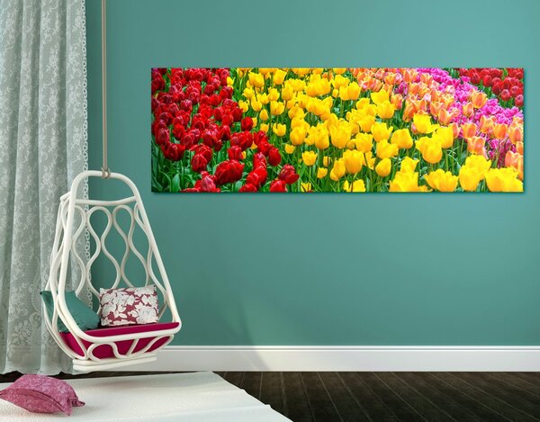 Obraz záhrada plná tulipánov