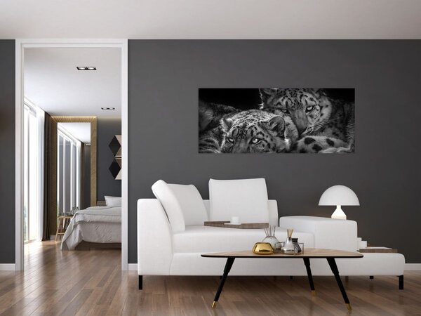 Obraz - Odpočívajúci gepardy (120x50 cm)